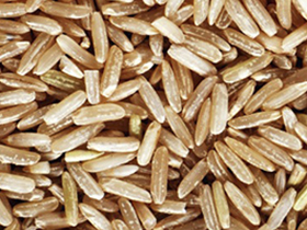 brazilian brown rice color export